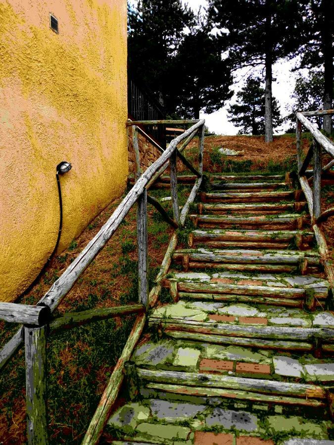Elatodasos Taxiarkhis  Bagian luar foto